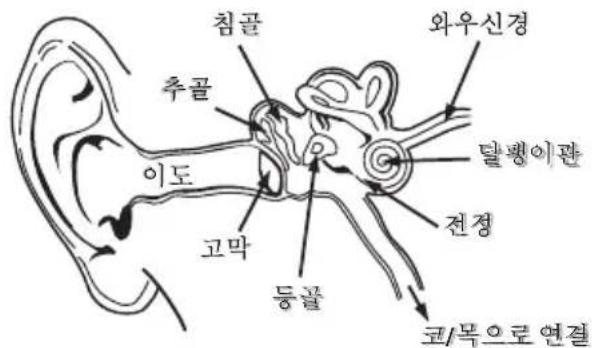 MONSTER iSport Freedom Wireless - 칸이 EU 적합성 선언 - 4