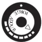 FORGE ADOUR Iberica 750 - Züden und Betrieb der Plancha - 3