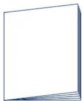 Giordani Manhattan - F - 8