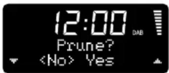 12:00 Prune? Yes