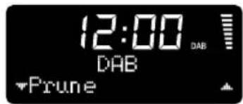 12:00 DAB Prune