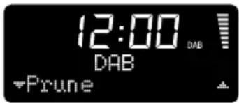 12:00 DAB Prune