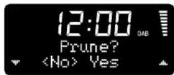 12:00 Prune? Yes