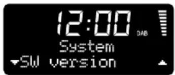 Ruark Audio R1 DAB - Software version (Version logicielle) - 1