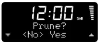 12:00 Prune? Yes