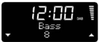 12:00 Bass 8