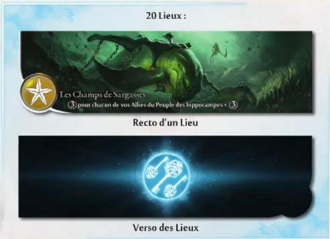 Bombyx Abyss - Matériel et mise en place - 15