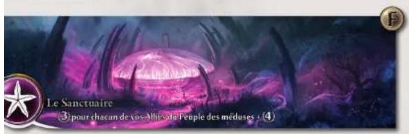 Bombyx Abyss - Matériel et mise en place - 16