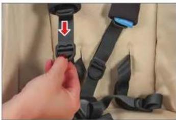 UPPAbaby Vista - EINSTELLEN DER GURTLÄNGE DES GURTSYSTEMS - 2