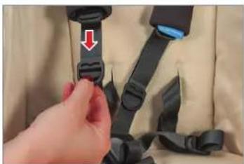 UPPAbaby Vista - KEMER KAYIŞININ UZUNLUĞUNU AYARLAMA - 2