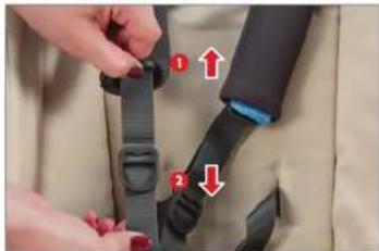 UPPAbaby Vista - DE LENGTE VAN DE GORDELRIEMEN AANPASSEN - 1