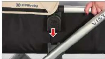 UPPAbaby Vista - (בַרְהָרִי) בְּרַעֹת הַלְרָה - 2