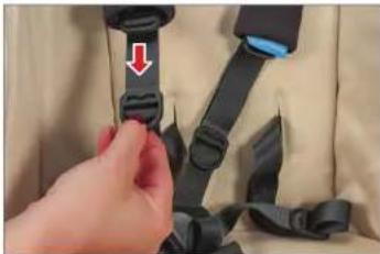 UPPAbaby Vista - DE LENGTE VAN DE GORDELRIEMEN AANPASSEN - 2