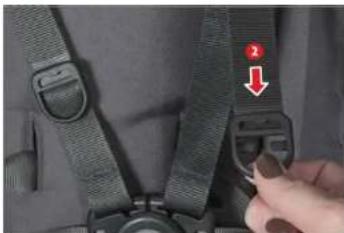 UPPAbaby Cruz - KEMER KAYISININ UZUNLUGUNU AYARLAMA - 4