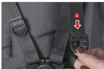 UPPAbaby Cruz - 11111111111 - 1