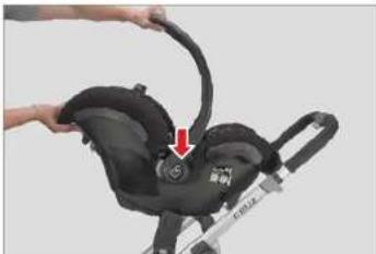 UPPAbaby Cruz - Installation du siège maxicosi sur les adaptateurs - 1