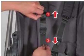 UPPAbaby Cruz - Réglage de la longueur des sangles du harnais - 1