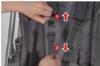 UPPAbaby Cruz - KEMER KAYISININ UZUNLUGUNU AYARLAMA - 1