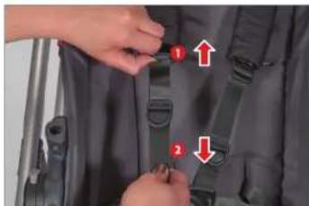 UPPAbaby Cruz - AJUSTE DE LA LONGITUD DE LA CORREA DEL ARNÉS - 1