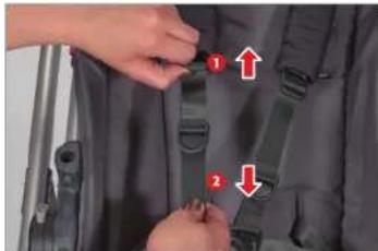 UPPAbaby Cruz - DE LENGTHEN VAN DE GORDELRIEMEN AANPASSEN - 1