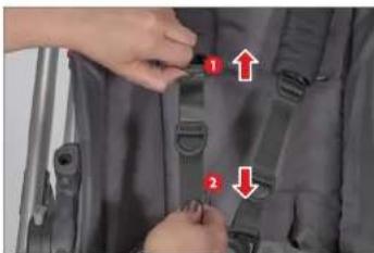 UPPAbaby Cruz - 11111111111 - 2