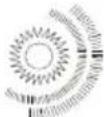 TechLine TL20LC14 - Calore e sole, fiamme libere - 2