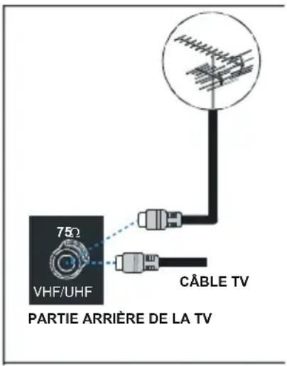 75Ω VHF/UHF PARTIE ARRIÈRE DE LA TV CÂBLE TV