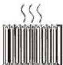 TechLine TL20LC14 - Calore e sole, fiamme libere - 1