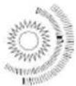 TechLine TL20LC09 - Calore e sole, fiamme libere - 2