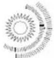 TechLine TL20LC12 - Calore e sole, fiamme libere - 2
