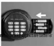 Master Lock LFW123FTC - Master Lock. - 1