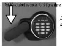 Master Lock LFW205FYC - Laseoppsafen - 3