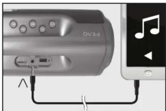 PEAQ PPB200BTB - Conexiones - 1