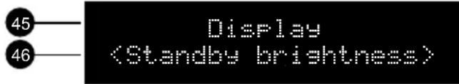 45 Display