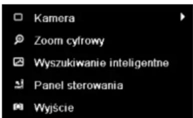 ABUS TVVR45030 - Kliknięcie sprawym przyciskiem podczas odtrwarzania - 1