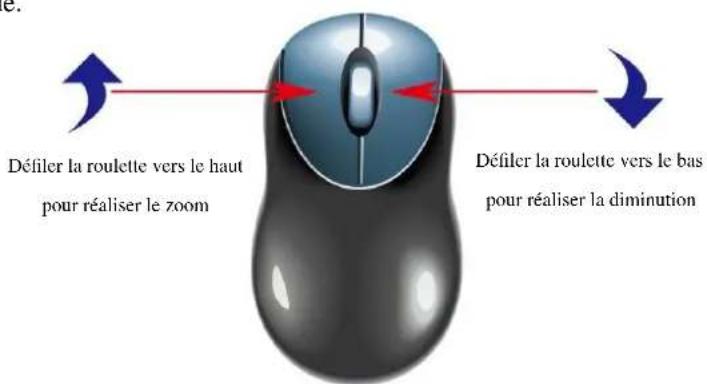 MCL IPNVR908 - Zoom numérique - 1