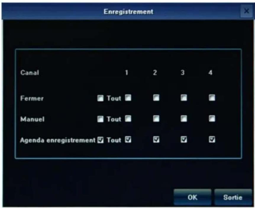 MCL IPNVR908 - Enregistrement manuel - 2
