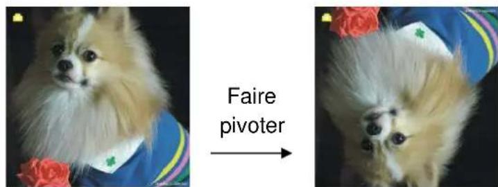 Reflecta 3in1 - Option Capture : Miroir/Faire pivoter (touche physique) - 2