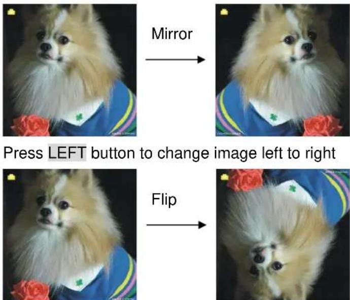 Reflecta 3in1 - Capture: Mirror/Flip(Hard Key) - 1