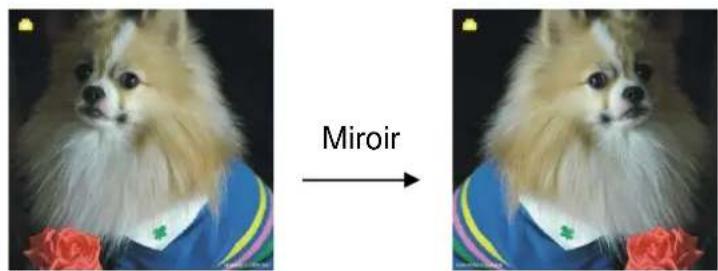 Reflecta 3in1 - Option Capture : Miroir/Faire pivoter (touche physique) - 1