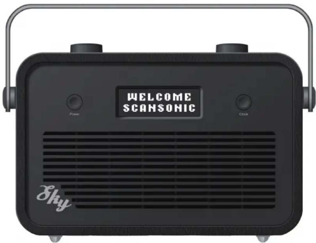 SCANSONIC Sky Portable DAB+FM - SKY - 1