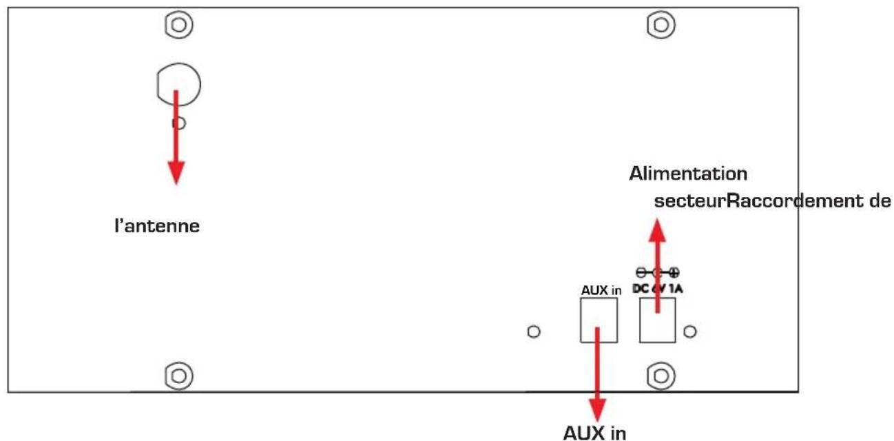 Imperial Dabman 30 - Description de la face arrête - 1