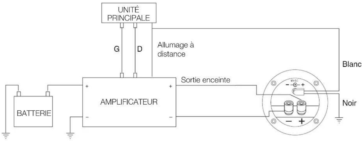 JBL BandPass CSX1400BP - CONNEXIONS DES ENCEINTES - 1