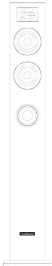MADISON MADCENTER100 - ACTIVE CENTER COLUMN SPEAKER WITH USB/SD, BLUETOOTH &amp; FM - 1