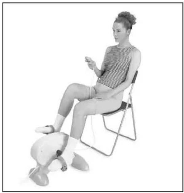 Fysic FF17 - EXERCICES - 1