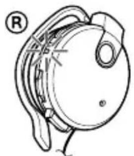 SONY DRBT140Q - Make sure that indicator (red) lights up while charging. - 1