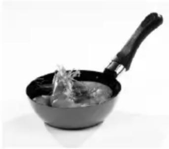 PRIMO WP1 - WOK - 1
