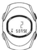 Sportline Solo 925 - SETTING THE PEDOMETER - 1