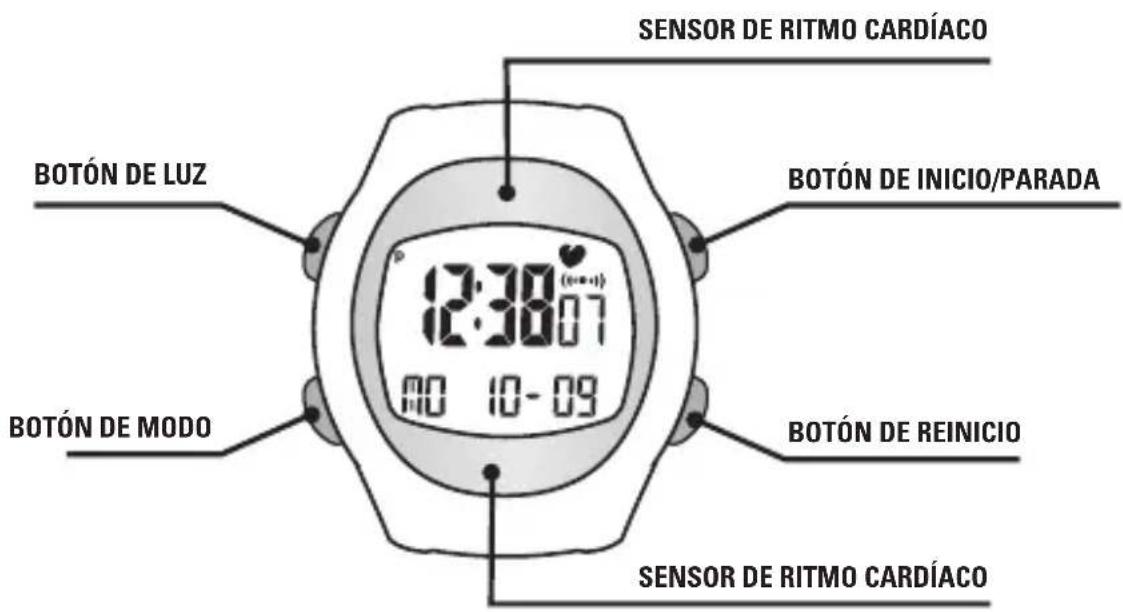 Sportline Solo 915 - BOTONES Y SUS FUNCIONES - 1