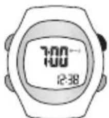 Sportline Solo 915 - SETTING DAILY ALARM - 1